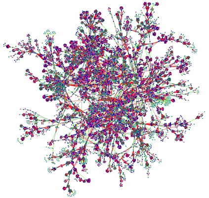 WikiTree's Directed Multigraph (with about 10,000 vertices) 